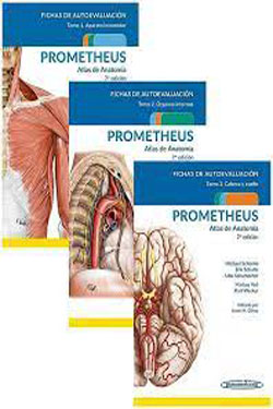 Fichas de Autoevaluación Prometheus Atlas de Anatomía 3 Tomos